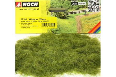 Fire iarba 6 mm, 50 g Noch 07100