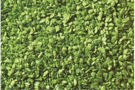 Frunze granule verde 50g Noch