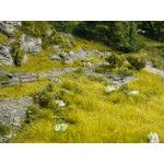 Covor iarba de campie 2 buc,  25 x 25cm Noch 07471