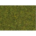 Iarba pajiste de campie 2,5 mm, 20g  Noch 08312