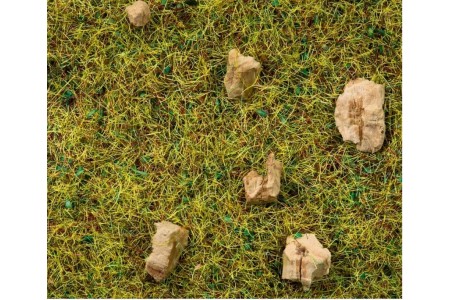 Iarba pajiste de munte 2,5 mm, 20g Noch 08360