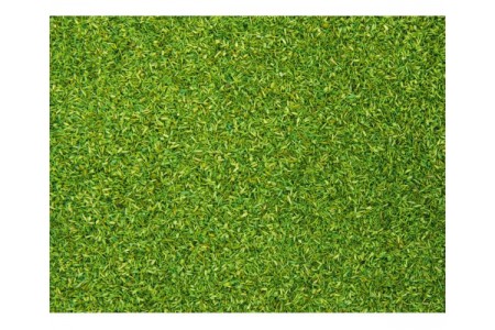 Granule verzi, 42g Noch