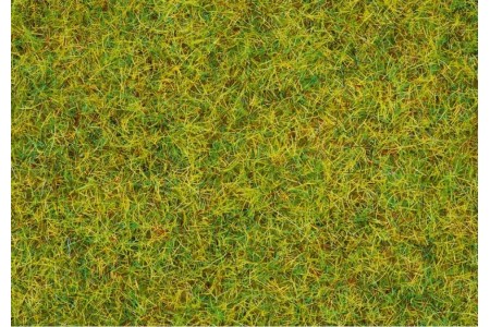 Fire iarba vara,  Scatter Grass “Summer Meadow”, 100g NOCH