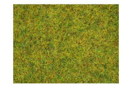 Fire iarba de vara 2,5mm, 50g