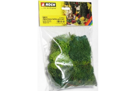 Muschi verde  Noch 35g, decoratiune diorama