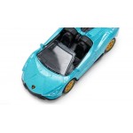 Masinuta Lamborghini Sian, Siku metal